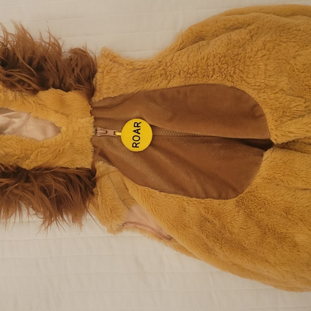 Fluffy Lion Costume
